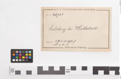 Etiketten zu Bronzegürtelblech (NHMW-PRAE-026742)
